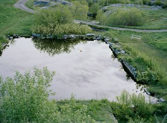 Untitled (Pond)